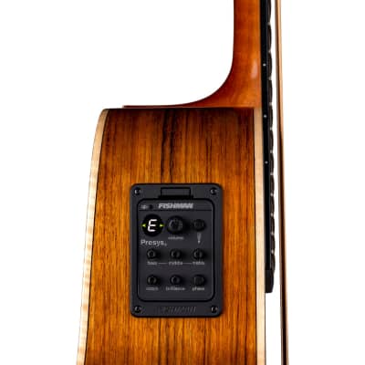 Luna Vista Bear Tropical Wood Acoustic-Electric Bass image 6