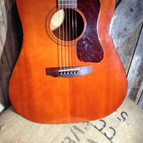Vintage Guild D25M Acoustic Guitar 1974 image 2