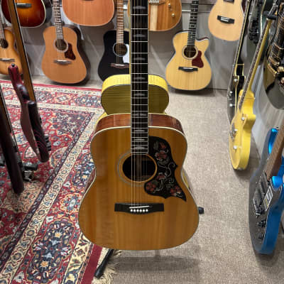 YAMAHA FG-250 / bill laurence A-300 レフティ YAMAHA FG-250 / bill laurence A-300 レフティ YAMAHA「先駆者が創造