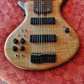 Warr guitar for sale hot sale