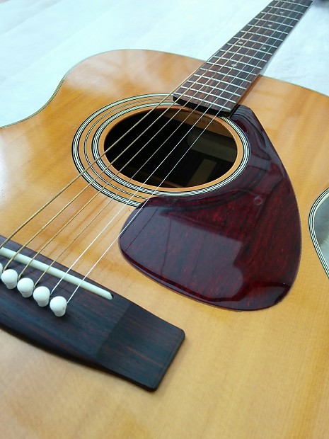 Yamaha fg 250 2025