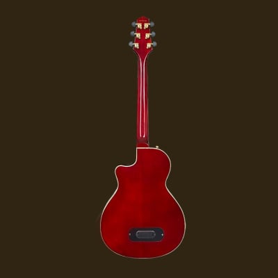 Aslin Dane  Icosa 6 String  thin line electric-acoustic guitar - Natrual  in High Gloss image 9