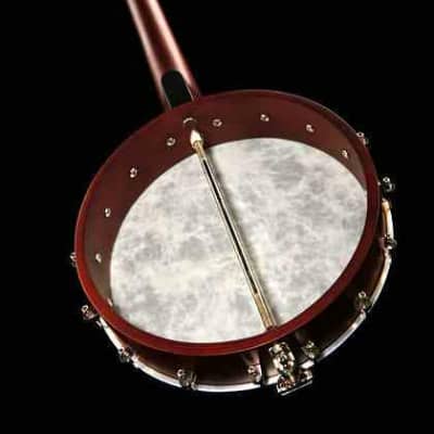 Recording King RKOH-05 Open Back 5-String Banjo. New, with Full Warranty! image 8