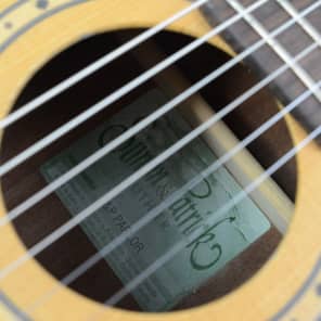 Simon and Patrick S P Parlor Acoustic Electric Guitar Reverb