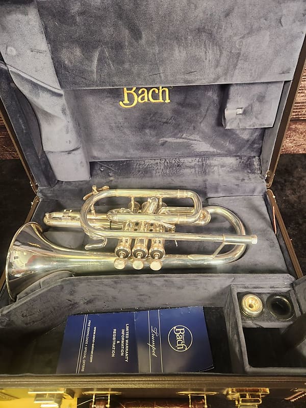 Bach Stradivarius 184 Cornet (Indianapolis, IN) | Reverb