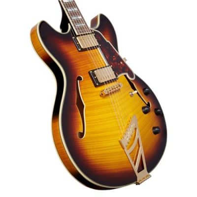 D'Angelico Guitars Excel DC 2018 16  Semi Hollow Electric Guitar with Stairstep Tailpiece, Pau Ferro Fingerboard, Vintage Sunburst image 4
