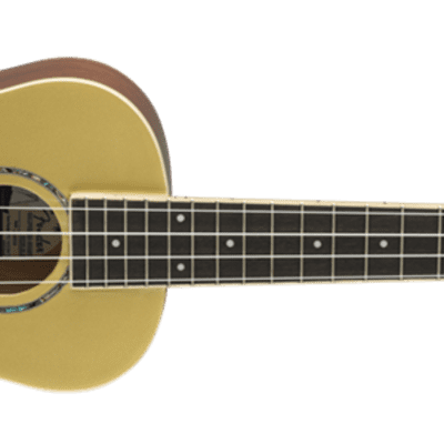 Fender Zuma Classic Special Edition Concert Ukulele 2018 Aztec Gold image 2