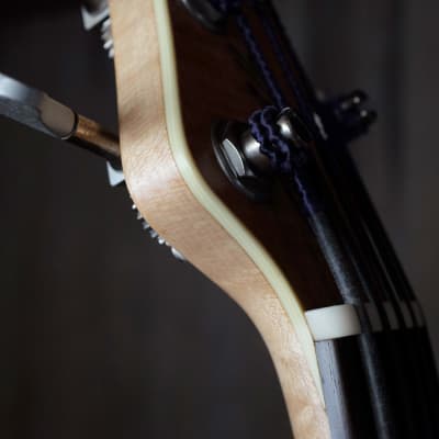 Rob Allen Guitars Deep 5 fretless bass guitar w G&G OHSC (7.5 pounds, Brazilian rosewood) image 10