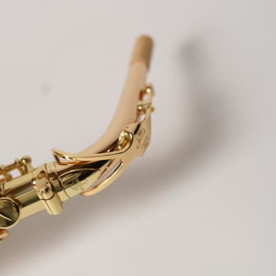 [In Stock]_Freeshipping! Yanagisawa Alto saxophone A WO-2 [AWO2]Bronze Brass Body image 5