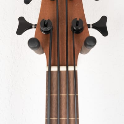 Gold Tone GT Series Micro Bass image 7