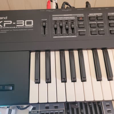 Roland XP-30 All New Switches, New Battery, 61-Key 64-Voice Expandable Synthesizer 1999 - 2004 - Black