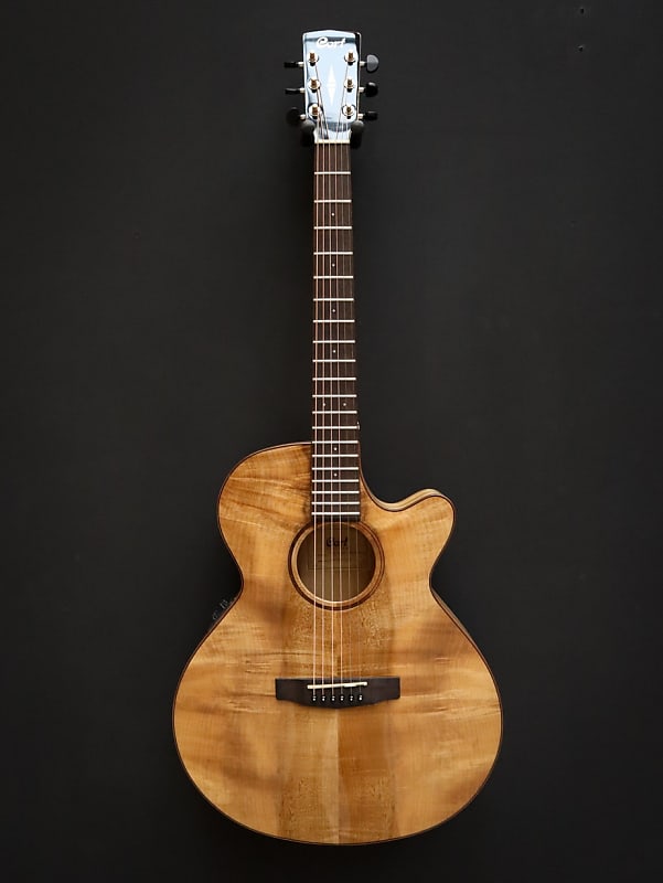 SFX Myrtlewood - brown Electro acoustic guitar Cort