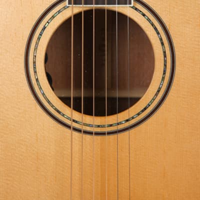 Parkwood P670 GC All solid Fishman Matrix VT-Natural II Pickup Preamp EQ Acoustic Guitar Greg Howe image 6