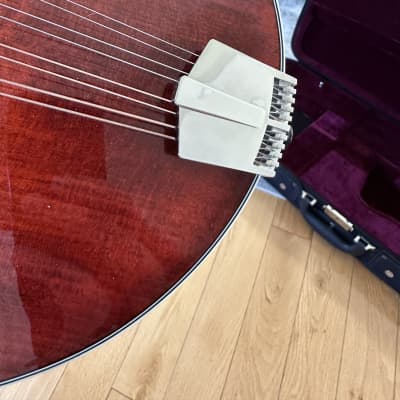 Eastman 815 2022 - Gloss image 12