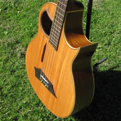 Sale: Rare Vintage Warwick Alien 4 electro-acoustic bass handcrafted by Lakewood in Germany image 8
