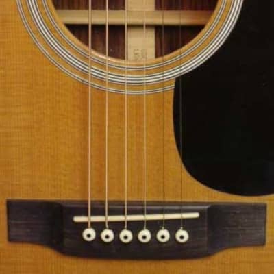 Holter Pickguards - Gibson J-45 Custom Acoustic Pickguard - | Reverb