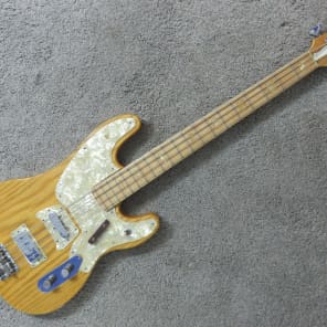 VINTAGE 1970'S AMPEG GEB 750 BIG STUD BASS W/GIG BAG | eBay