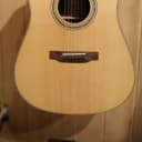 Teton STS160ZICENT Spruce/Ziricote Dreadnought with Electronics 2020 Natural