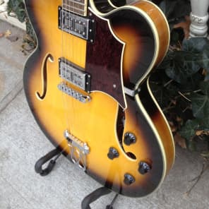 DiPinto Bacchus new sunburst Archtop w/Dipinto Case image 5