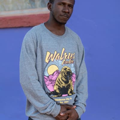 Mint Walrus Audio Vintage Crest Sweatshirt, Grey, Extra Large (XL) image 2