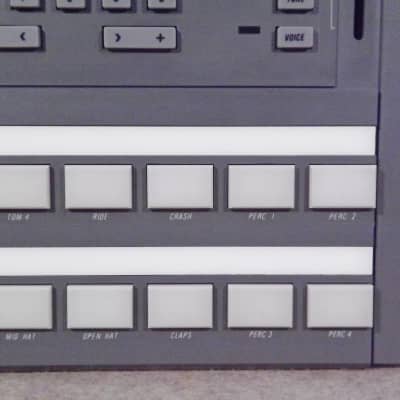 Alesis HR-16 Drum Machine w/ Custom ROMS image 7