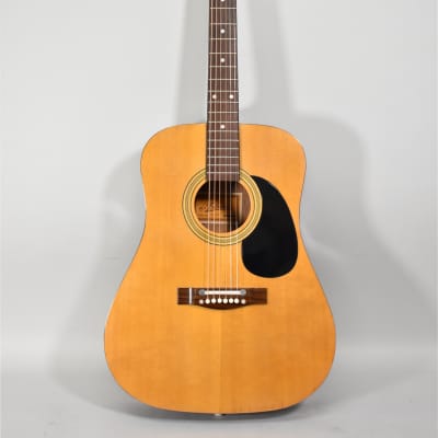 Ariana W9290 Dreadnought Acoustic Guitar w/Case image 2