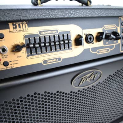 Peavey E110 Ecoustic 1x10" 100W Acoustic Guitar Combo Amp w/ Effects image 2