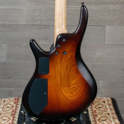 Roscoe Century Standard Plus 4J Fretless Bass Guitar Sunburst w/Case image 4