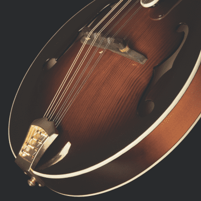 Washburn Timeless A43 A-Style All Solid Mandolin with Hardshell Case *showroom model* image 9