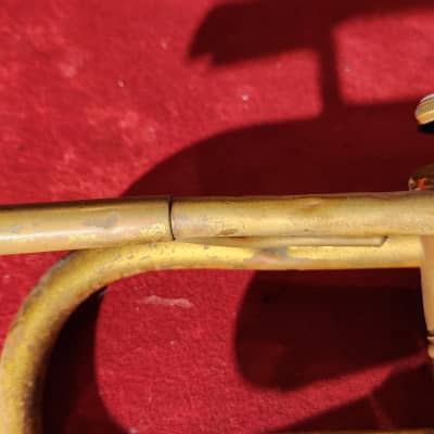 Midwest Cornet Horn Gold w/ Carrying Case image 3