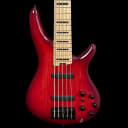 Ibanez ANB205-TWB Adam Nitti Signature 5 String Bass Guitar in Transparent Wine Red Burst