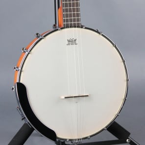 Gretsch G9450 Dixie Open-Back 5-String Banjo