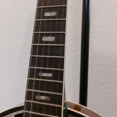 Ariana Vintage Banjitar 6 String Banjo from 1980 image 15