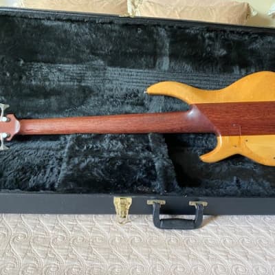 Vadim Custom Boutique Bass - Canadian Made 6 String Custom Hand Made Bass with Midi Interface and Case image 22