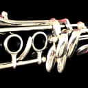 Buffet Crampon R-13 “Golden Era” Professional Clarinet! New Pads! 🤩🔥