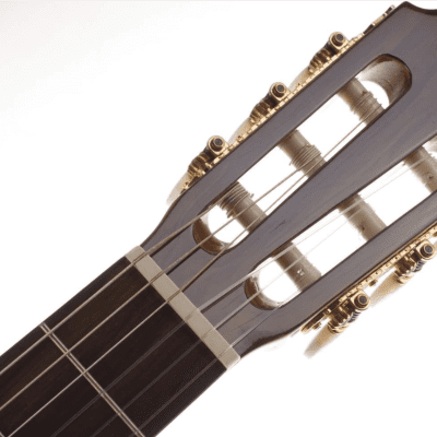Washburn C40 Classical Spruce Top Wood Mahogany Neck Nylon 6-String Classical Acoustic Guitar image 6