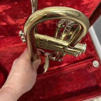 Holton c501 al hirt special cornet (trumpet) 1960s - brass image 16