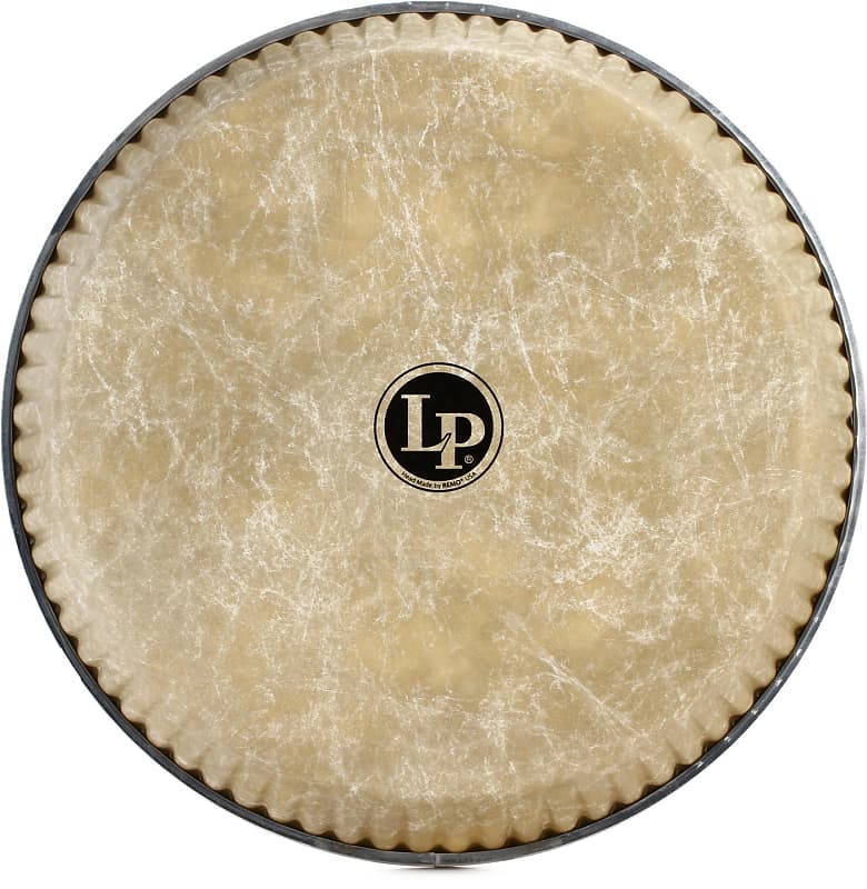Latin Percussion Fiberskyn Conga Head - 11 inch - Quinto (2-pack) Bundle image 1