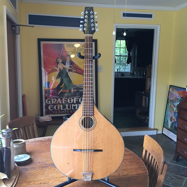 43 Fylde Archtop Citern