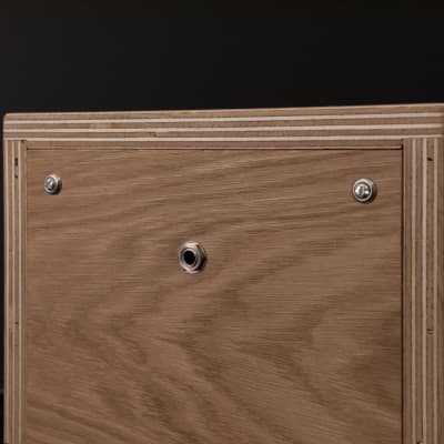 Baja Electrics Guitar Cabinet 6" + Eminence Alpha 6C (Poplar/Oak) image 6