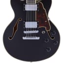 D'Angelico Premier Mini DC Semi-Hollow Body Electric Guitar, Black Flake w/Gig Bag, Mint