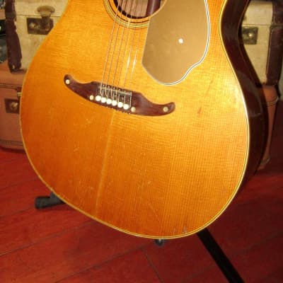 ~1969 Fender Palomino Natural for sale