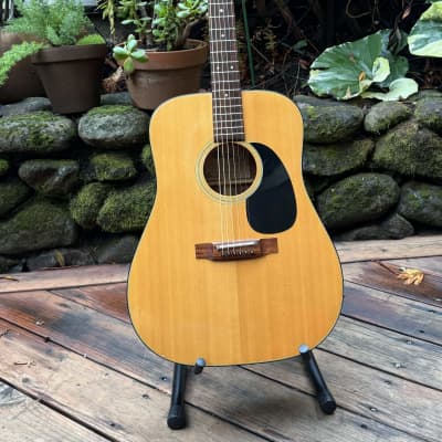 Maya Model F7440 Acoustic Dreadnought- 1974 - With Case for sale