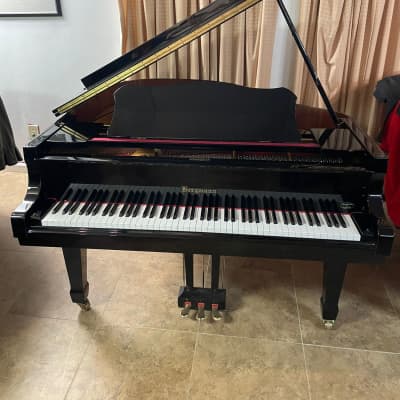 Baby grand piano Bergmann, TG-150, 4’11” image 1