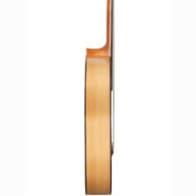 Kremona Rosa Blanca | All-Solid Flamenco Guitar w/ HSC. New with Full Warranty. image 4
