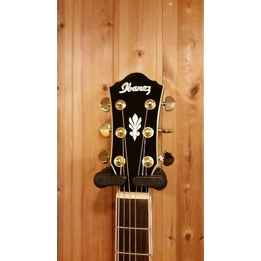 Ibanez AEG24II-TGB semi acoustic western | Reverb