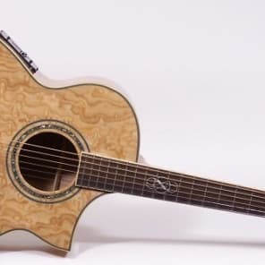 Ibanez EW20ASENT Exotic Wood Acoustic Electic Guitar 606559339174 image 1