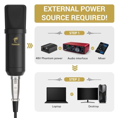 XLR Condenser Microphone, Professional Cardioid Studio Recording Mic for  Streaming, Podcasting, Singing, Voice-Over, Vocal, Home-Studio, 