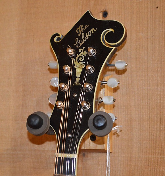 Gibson Distressed Master Model F-5 F5 Mandolin Varnish Finish Blue