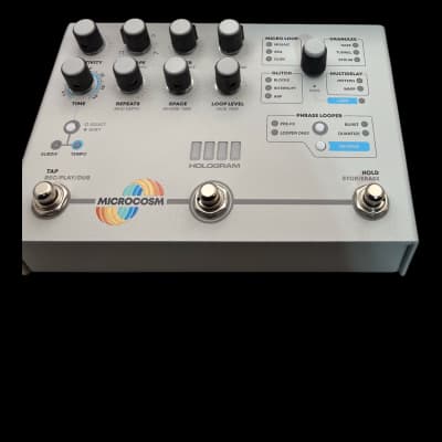 Hologram Electronics Microcosm | Reverb